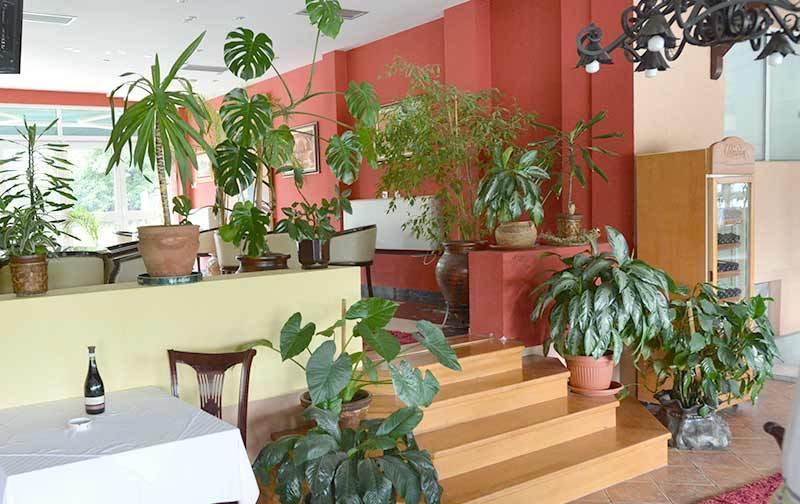 Čačak Motel Kneginja المظهر الخارجي الصورة